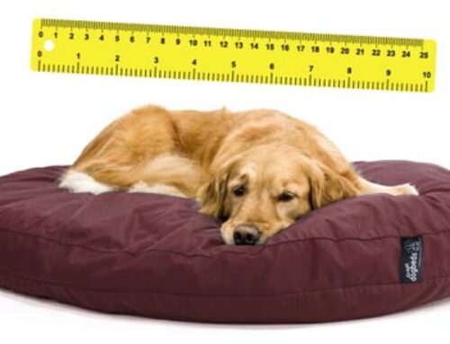 Πώς θα διαλέξω το μέγεθος για το κρεβάτι του σκύλου